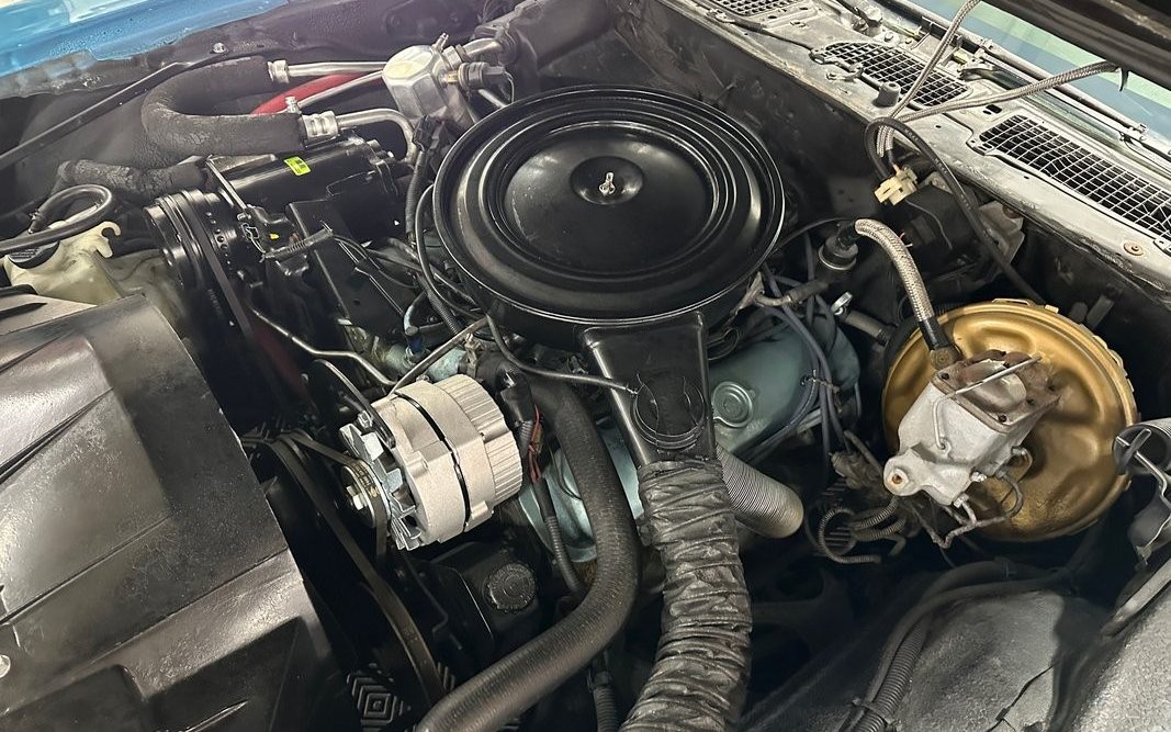 1979 Pontiac Firebird - Thumbnail 2